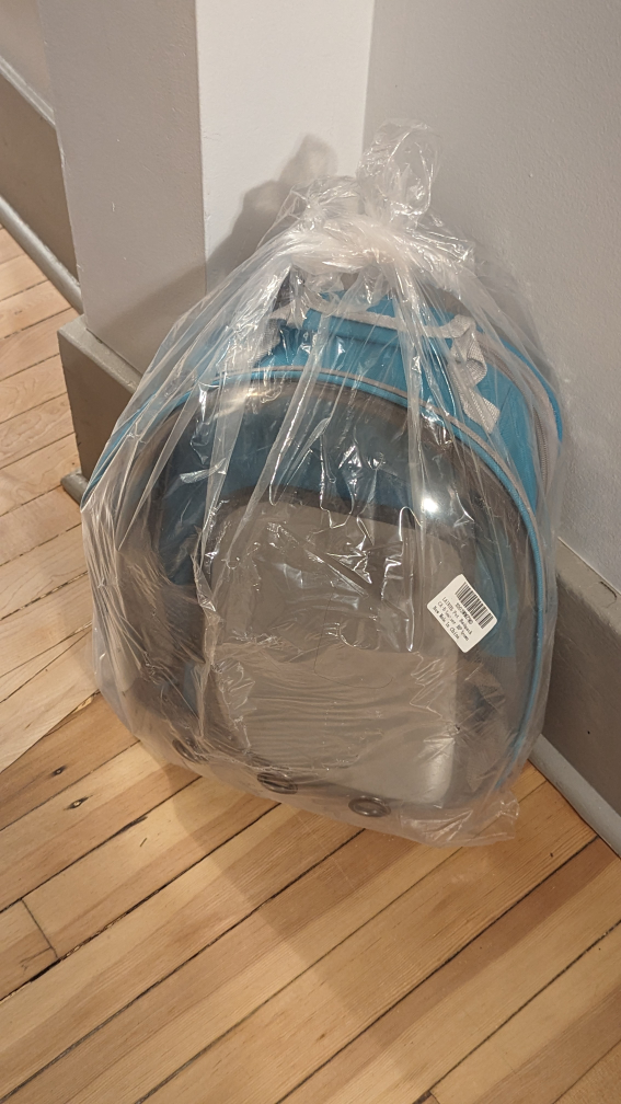 Free cat backpack
