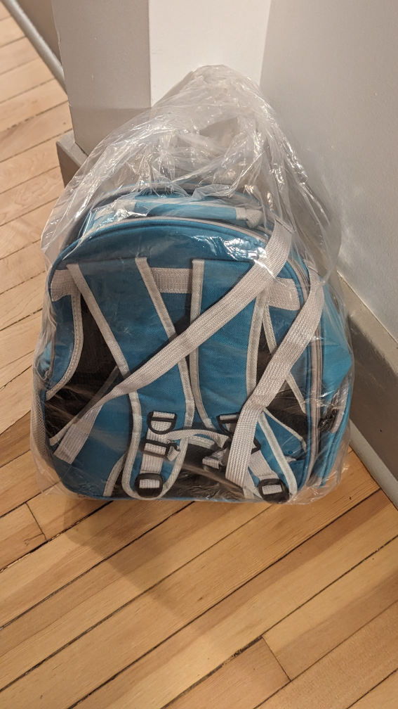 Free cat backpack - photo 2