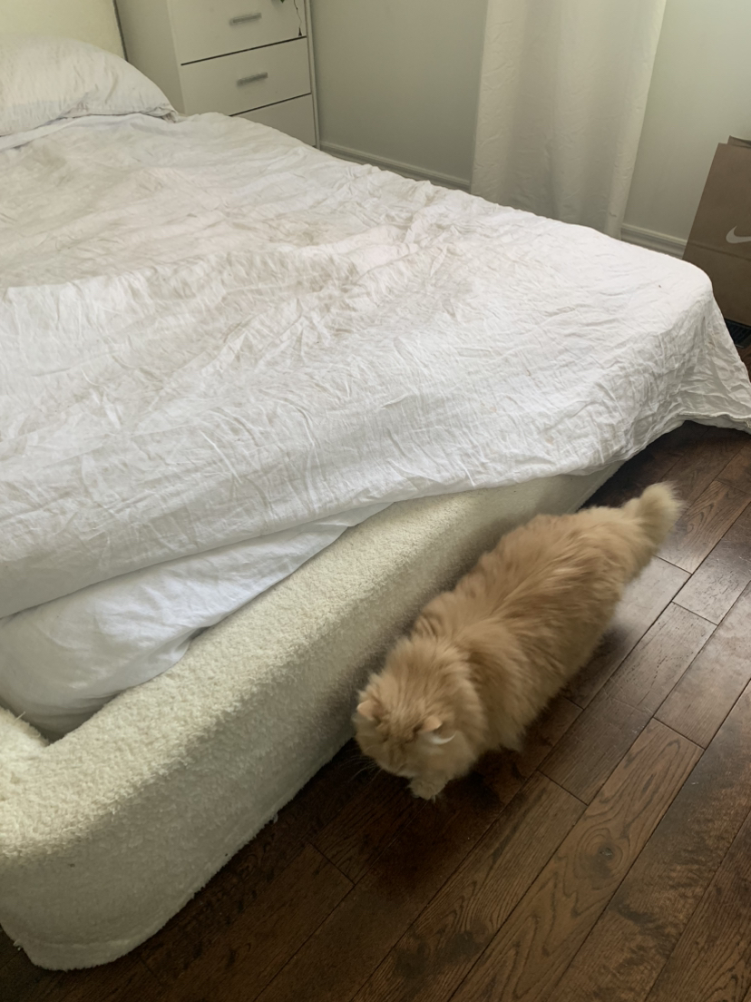 Queen size sherpa bed frame - photo 3