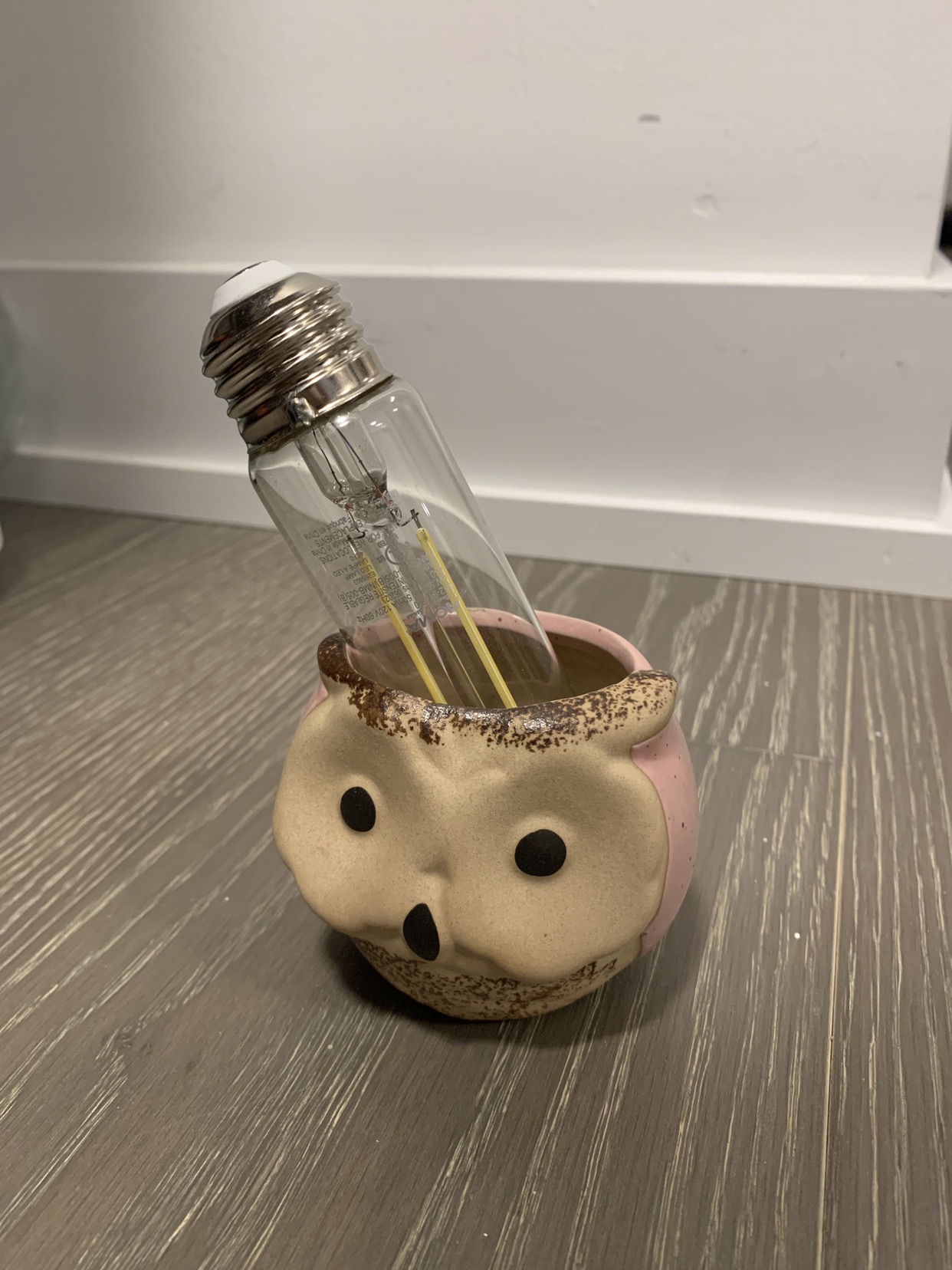 Plant pot + free light bulb thumbnail