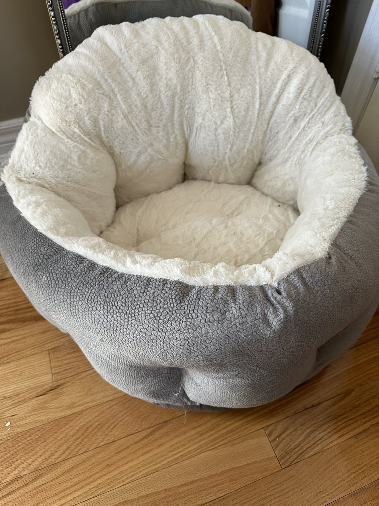New kitten / cat bed