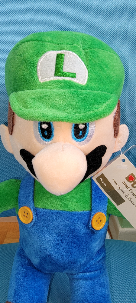 Luigi  30cm image indicator(2)