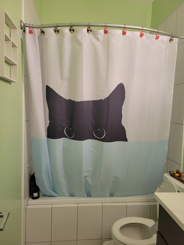 Cat Shower Curtain