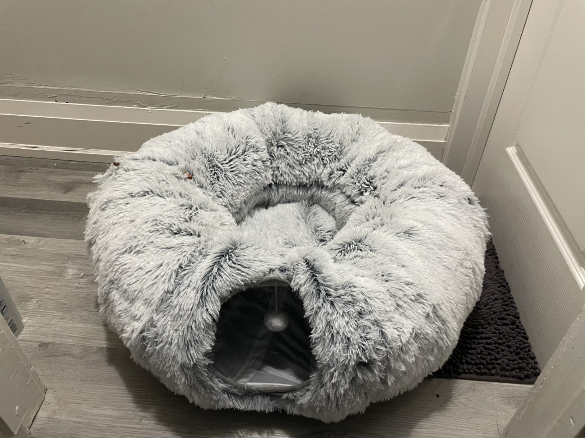 Cat tunnel