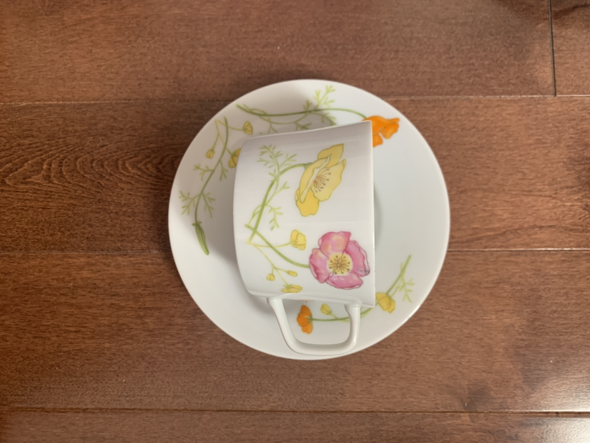 🥕Full Set: Jardin Genevieve fine china image indicator(7)