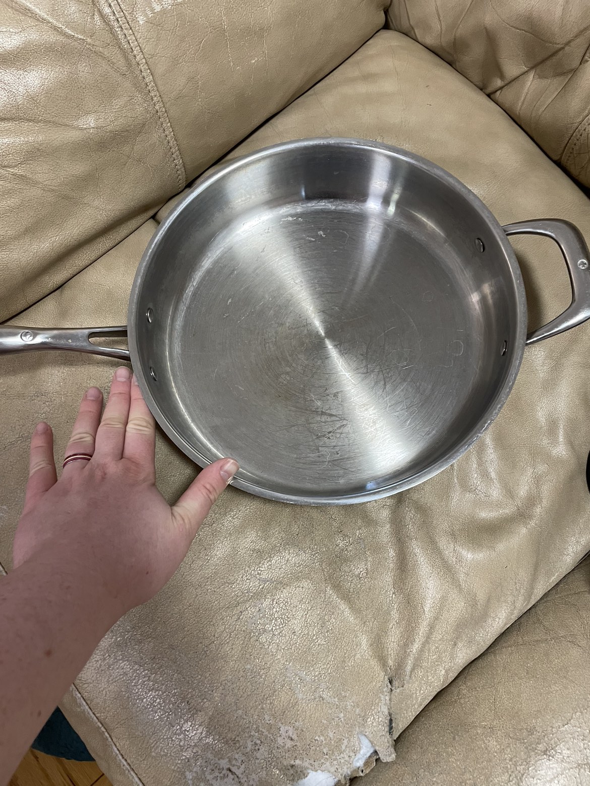Frying pan and plate