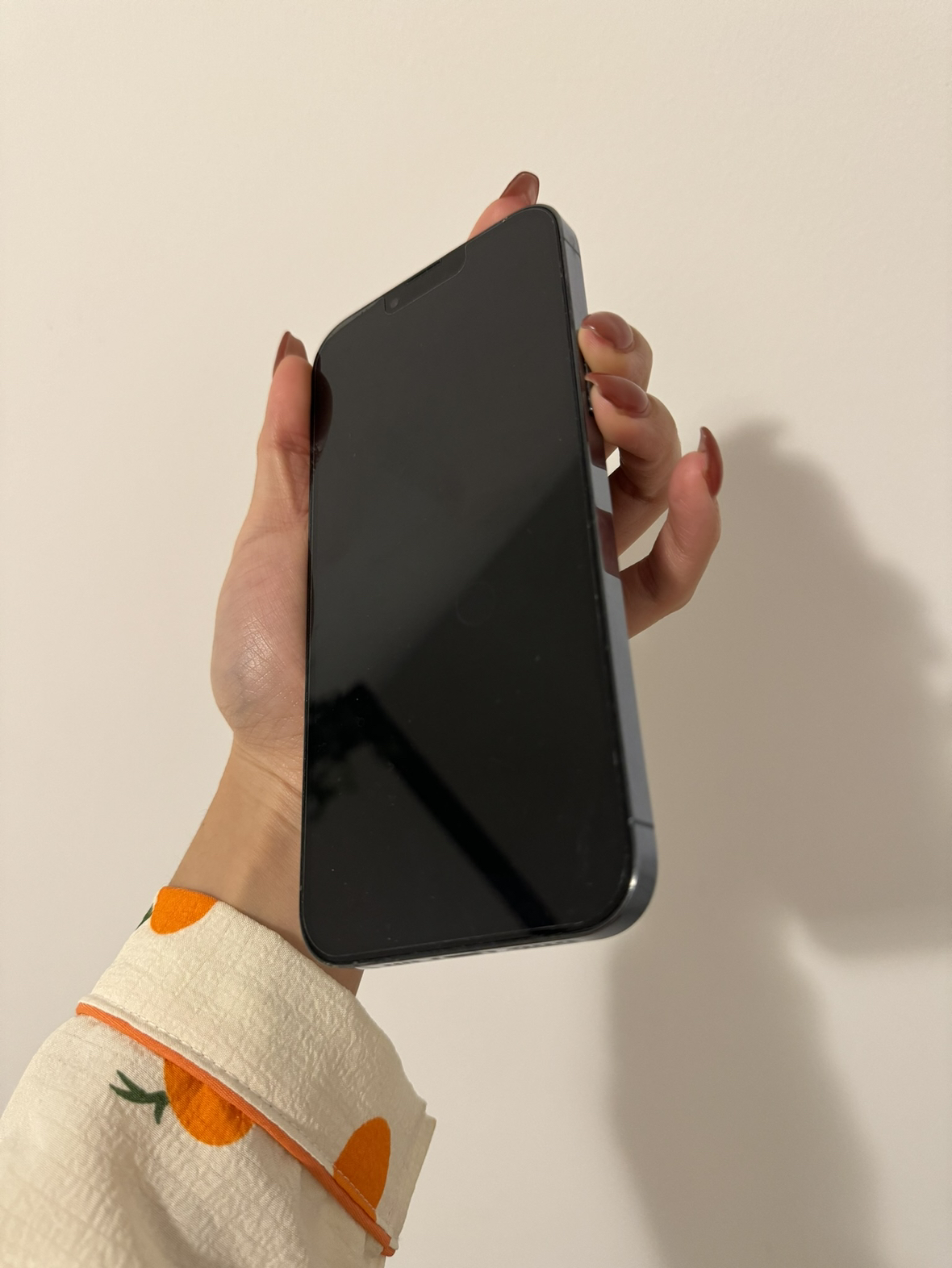 iPhone 13 pro max 256gb sierra blue - photo 5