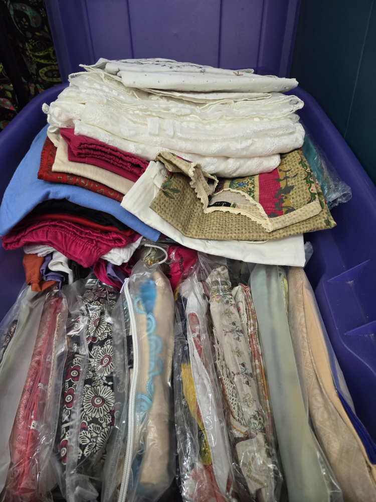 Pakistani outfits for Eid image indicator(5)