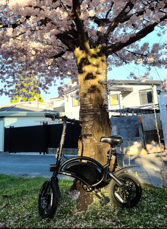 Jetson Bolt Pro Foldable E-Bike