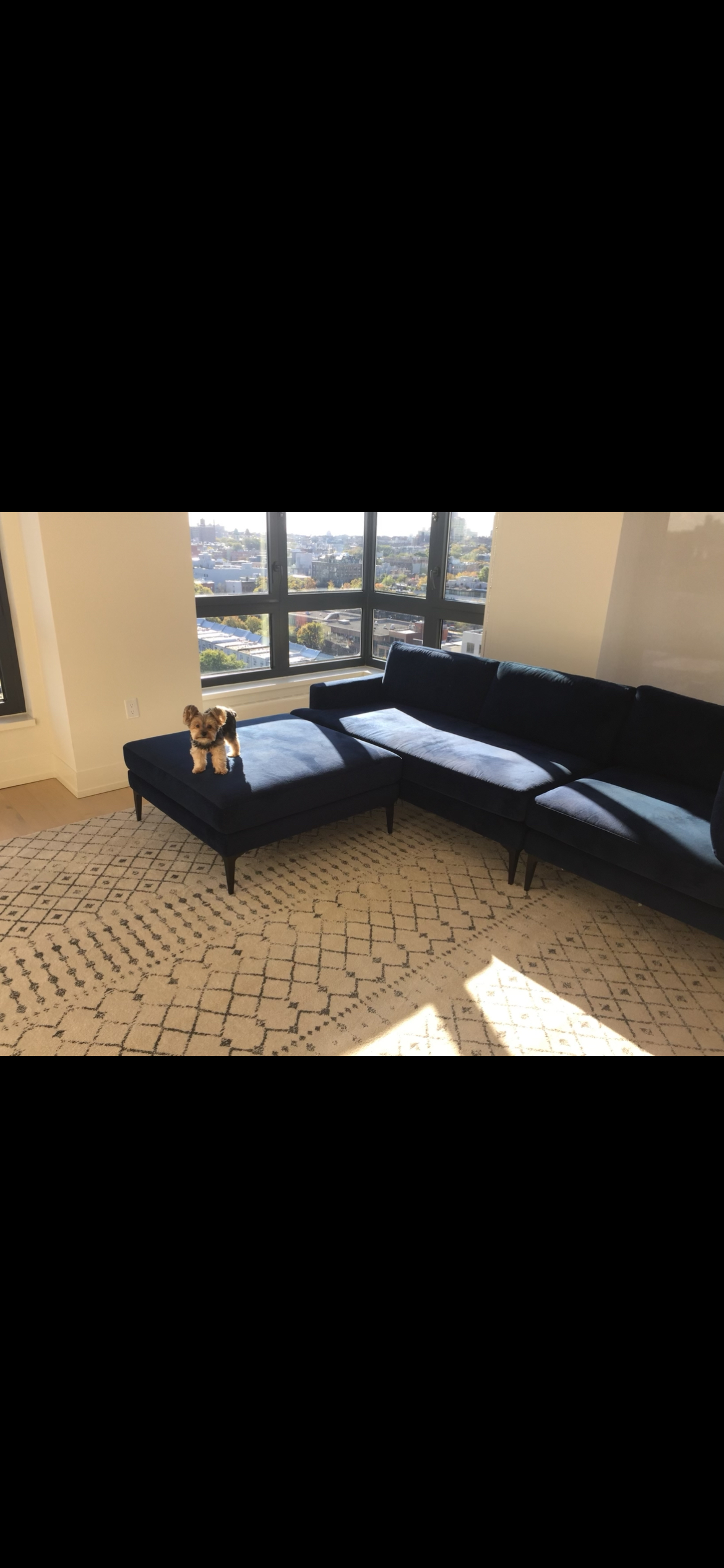 West Elm Couch - photo 2