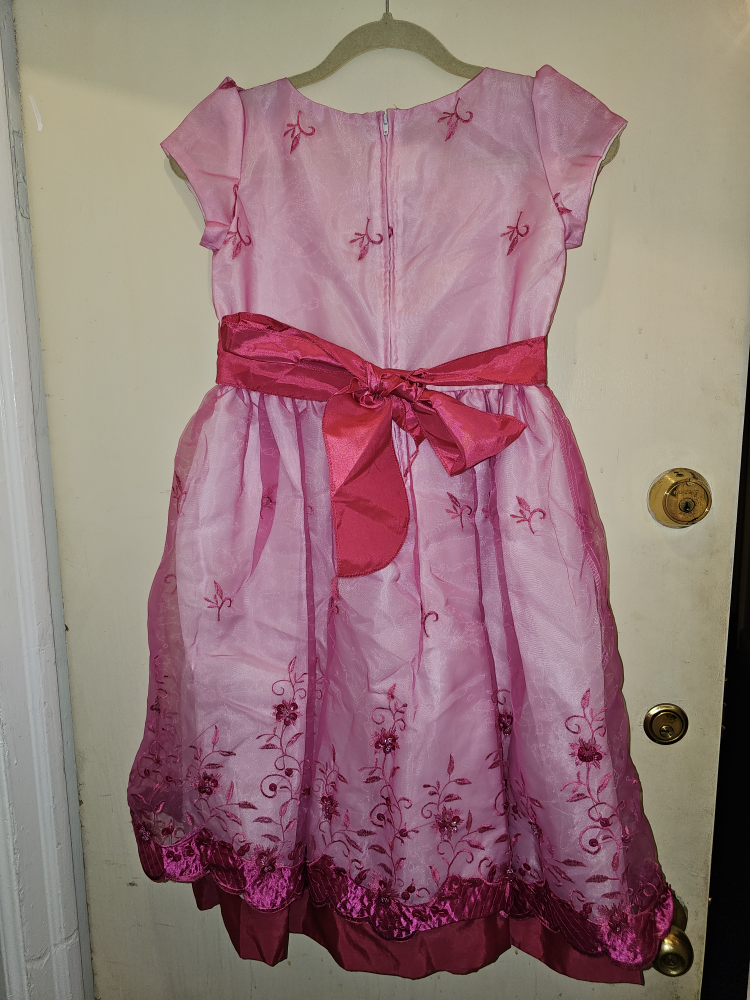 Little Girls Pink Dress Size 10 image indicator(2)