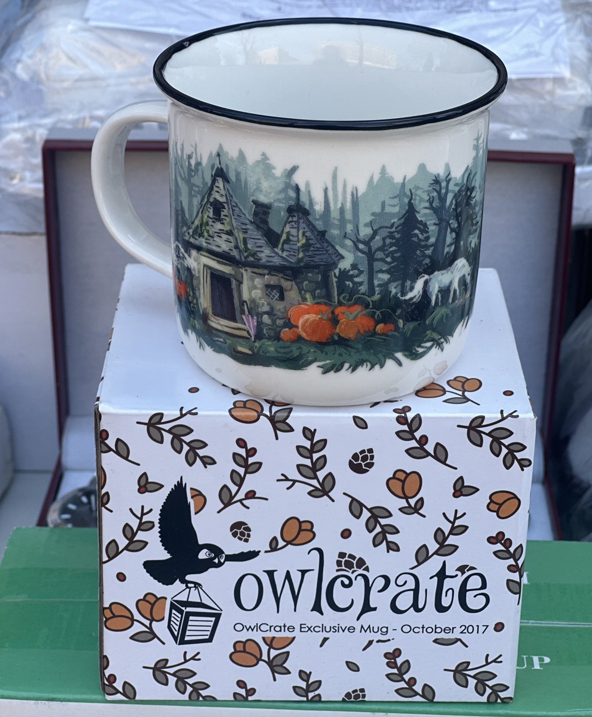 Owlcrate mug