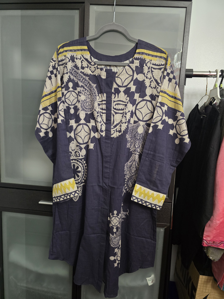 Pakistani outfits for Eid image indicator(10)