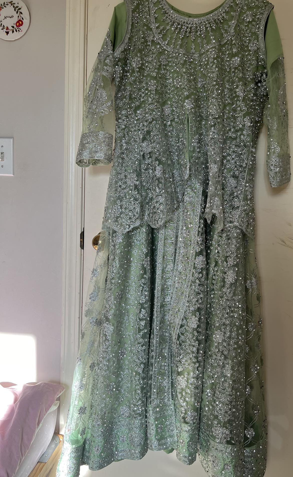 Beautiful Pakistani Indian dress - photo 3