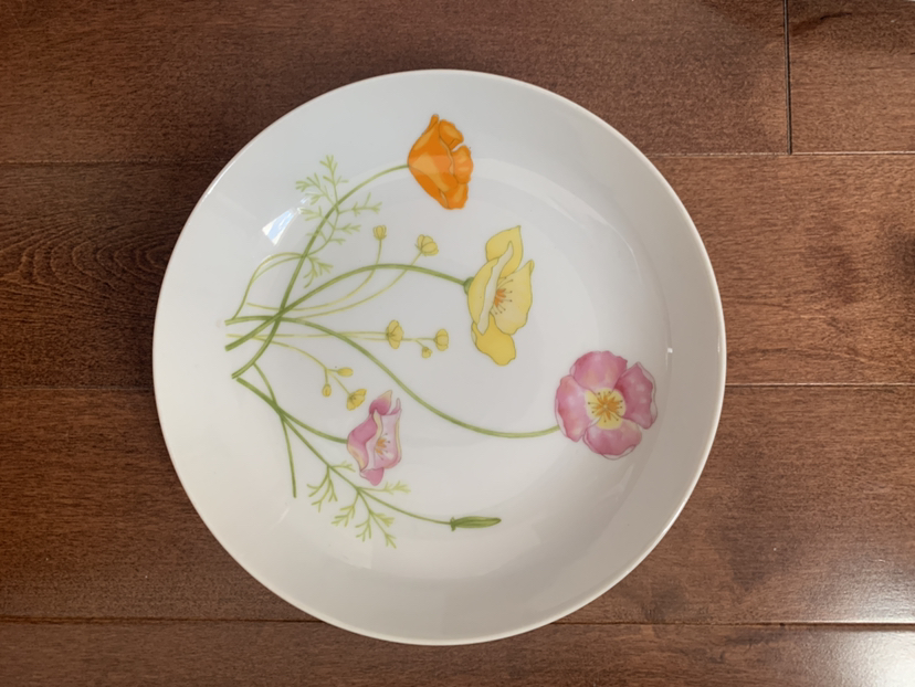 🥕Full Set: Jardin Genevieve fine china image indicator(5)