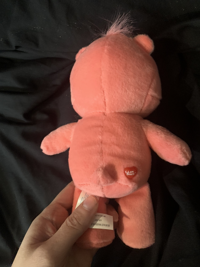 $40 Rare Smart care bear 9” (2004) - photo 3