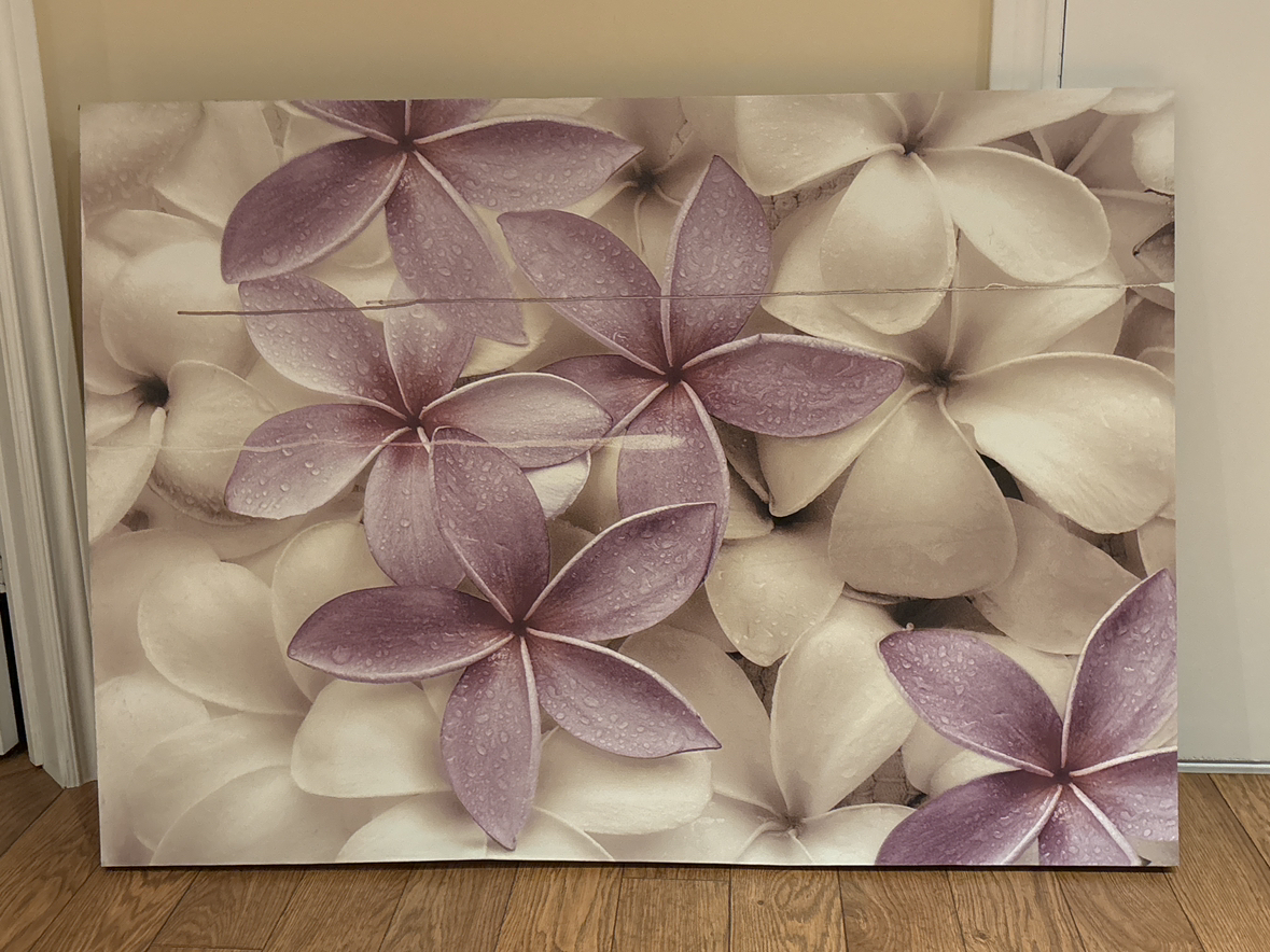 Flower picture-SOLD thumbnail