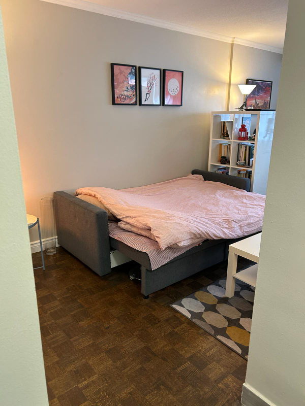 sofa bed - photo 2
