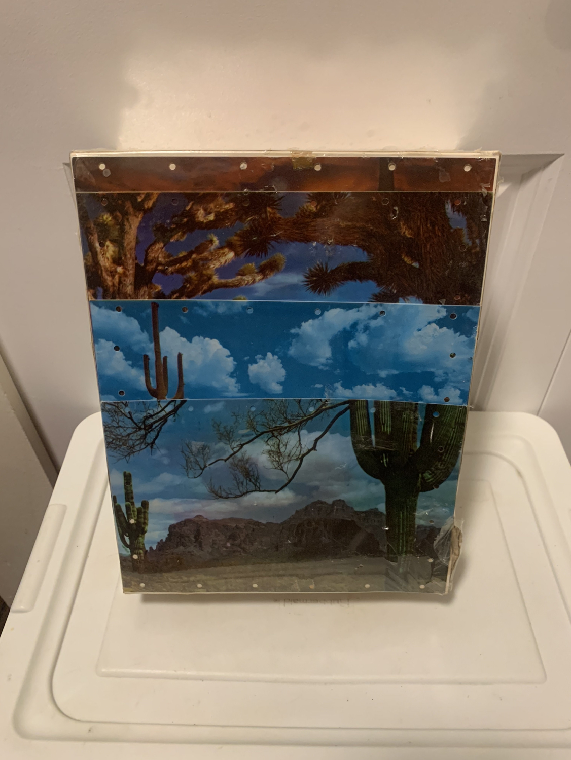 Sealed Vintage Rare Cactus Craft Table Lamp & Shade Kit image indicator(2)