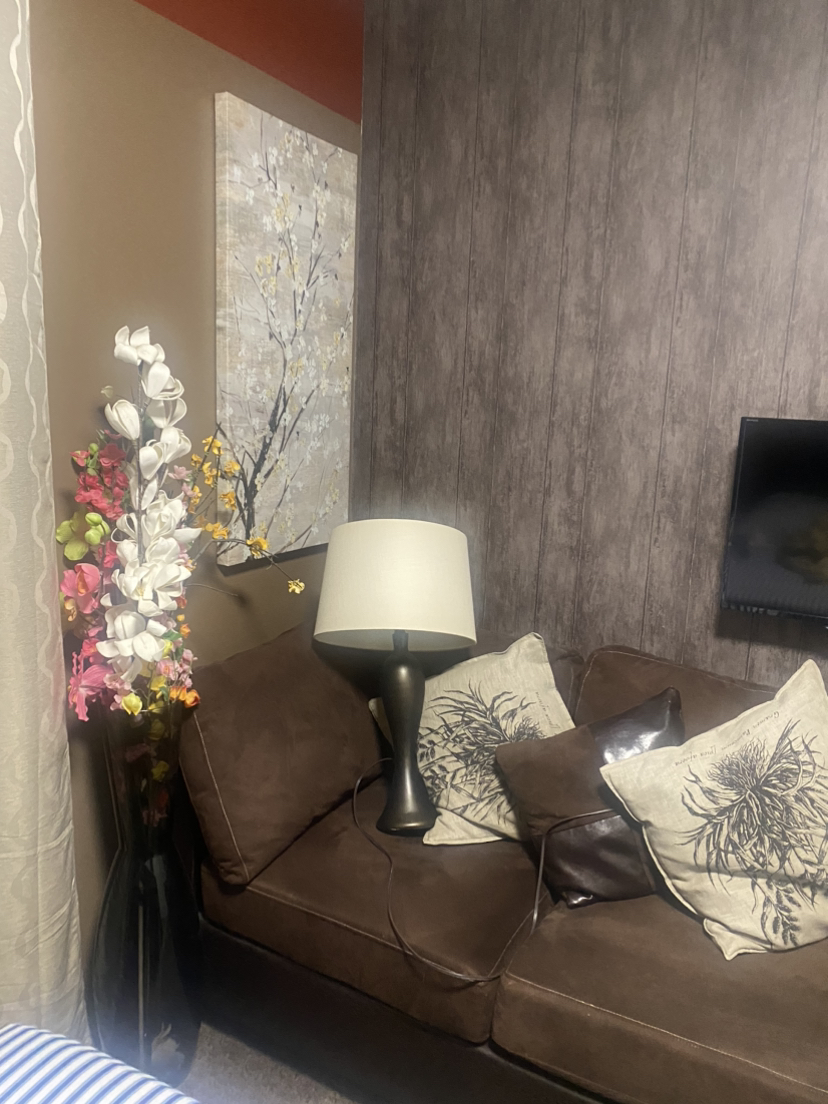 Table lamp and couch