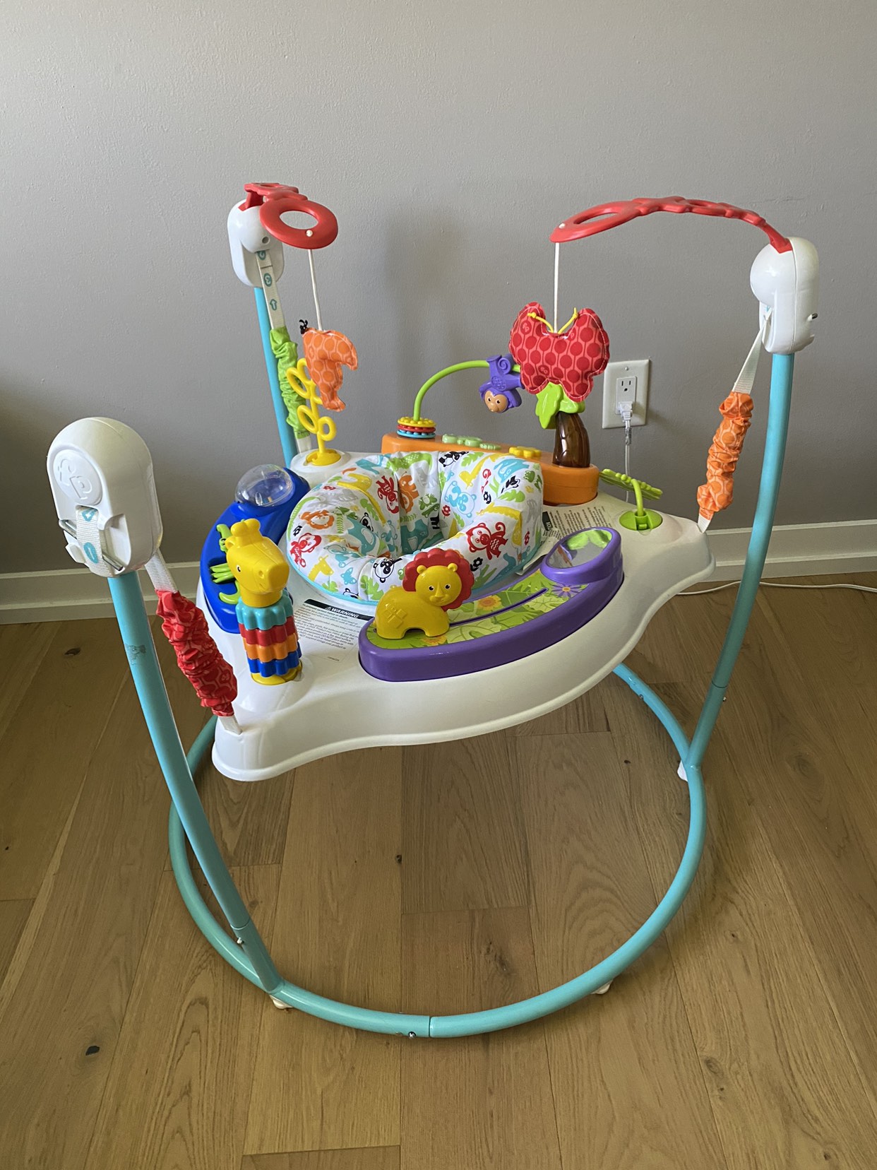 Free Fisher Price Baby jumper. image indicator(2)