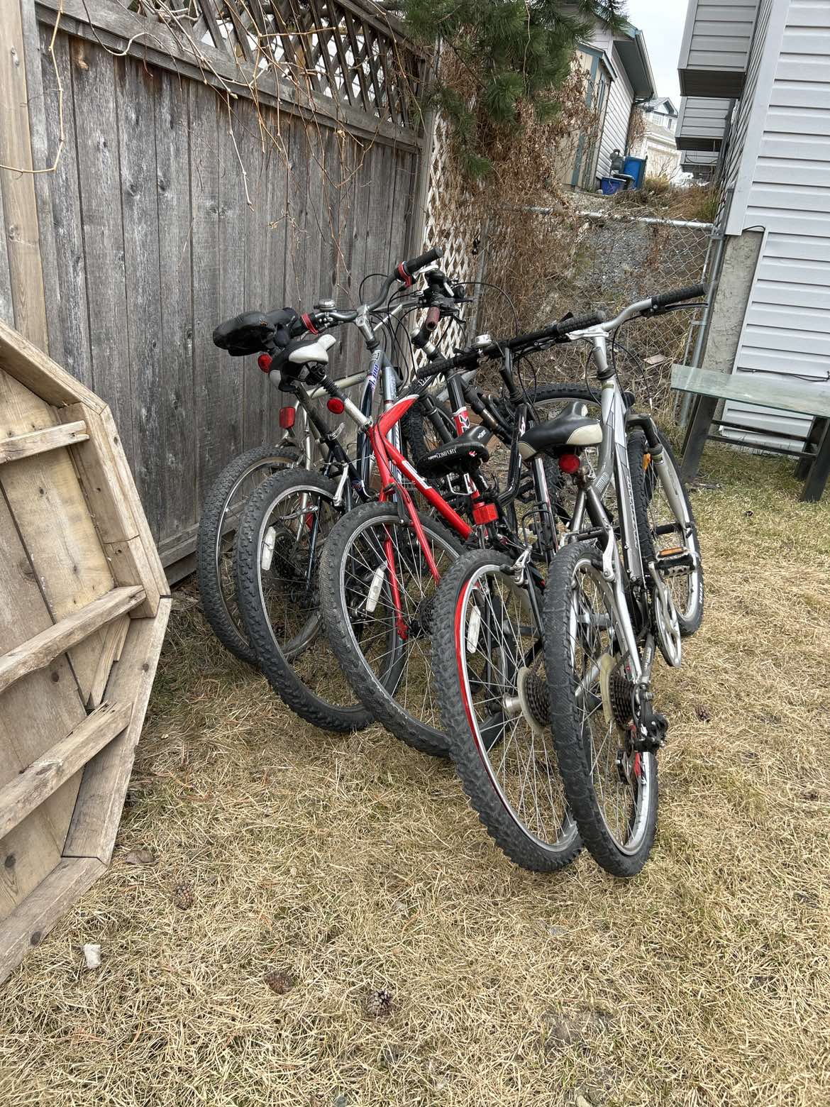 $100 for all bikes and $35 each - photo 2