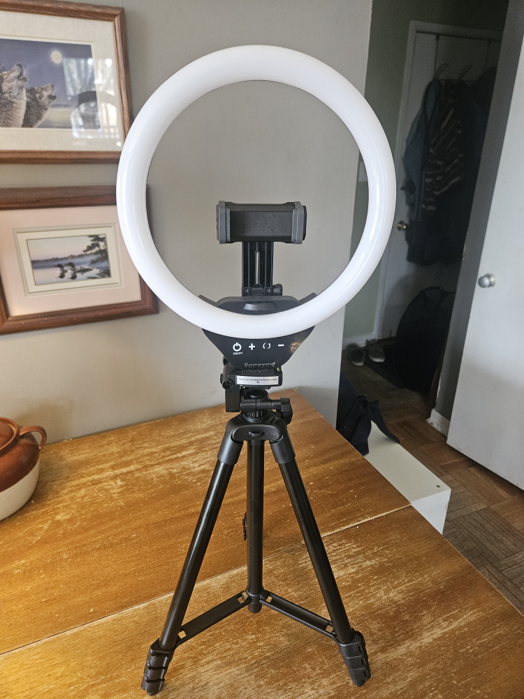 Ring Light 10" with Tripod and Phone Holder 🥕 thumbnail