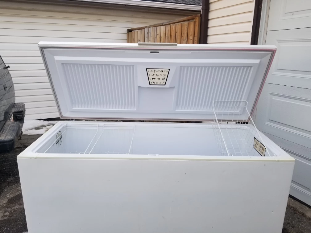 Extra Large Beautiful Deep Freezer (65"W x 27D) - photo 2