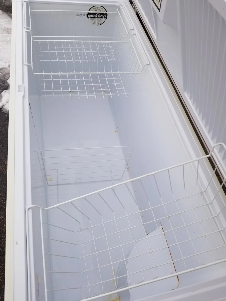 Extra Large Beautiful Deep Freezer (65"W x 27D) - photo 5