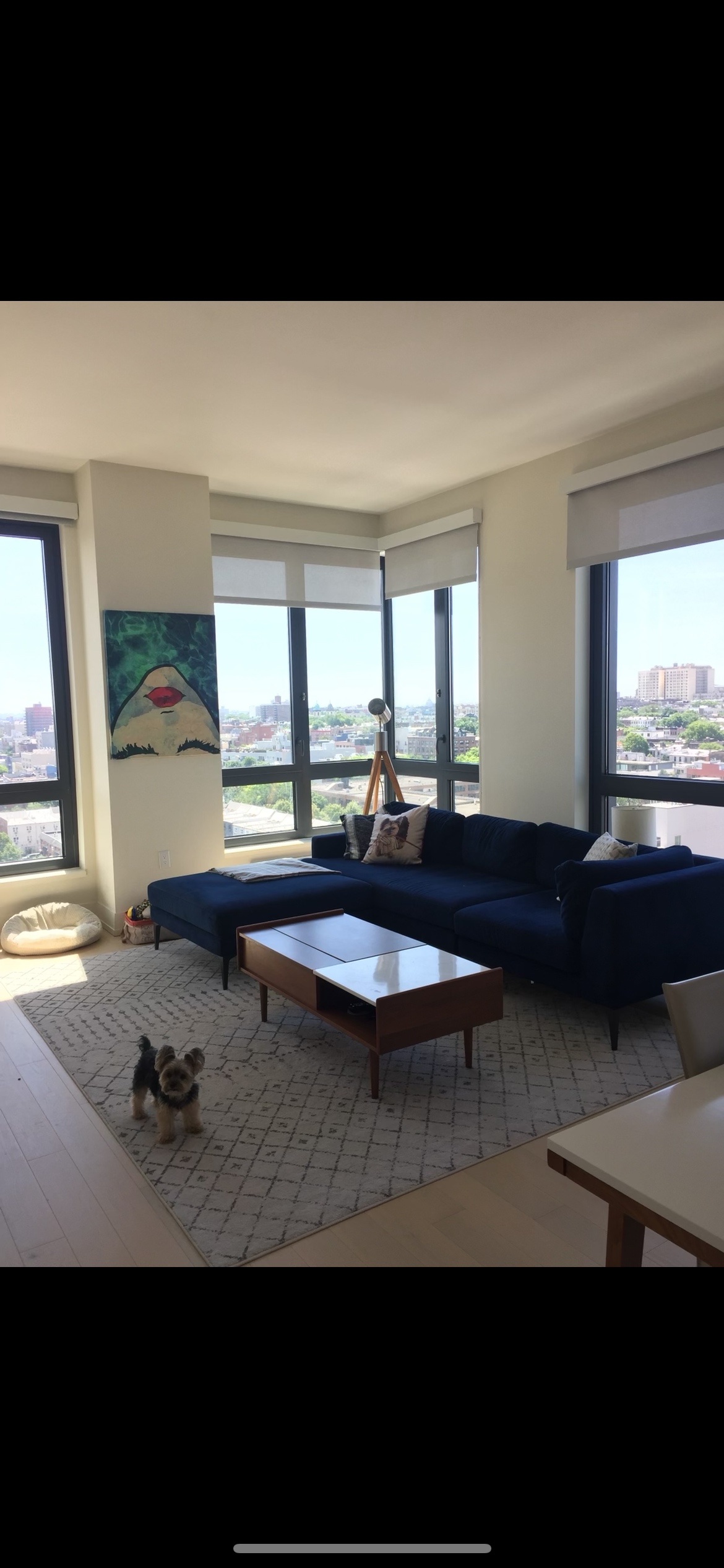 West Elm Couch