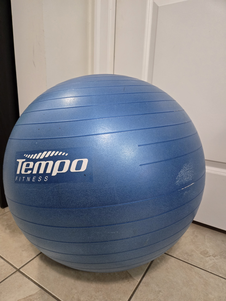Used and cheap exercise ball