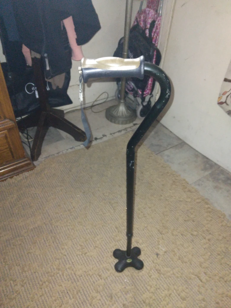 Cane