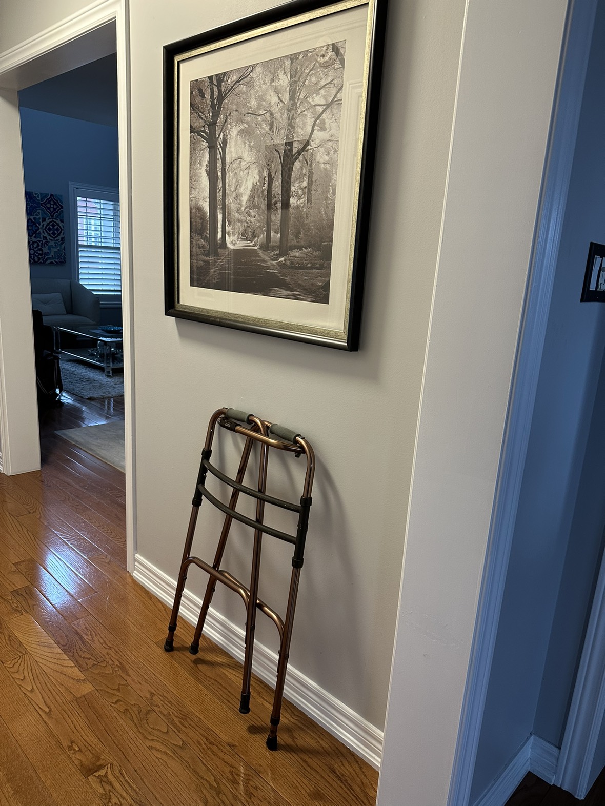 Walker for Seniors image indicator(3)