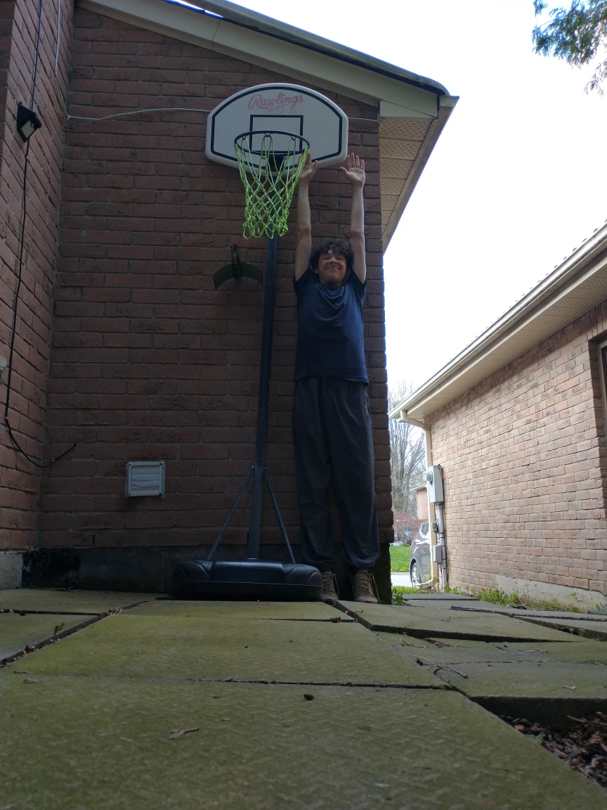 basketball net - photo 4