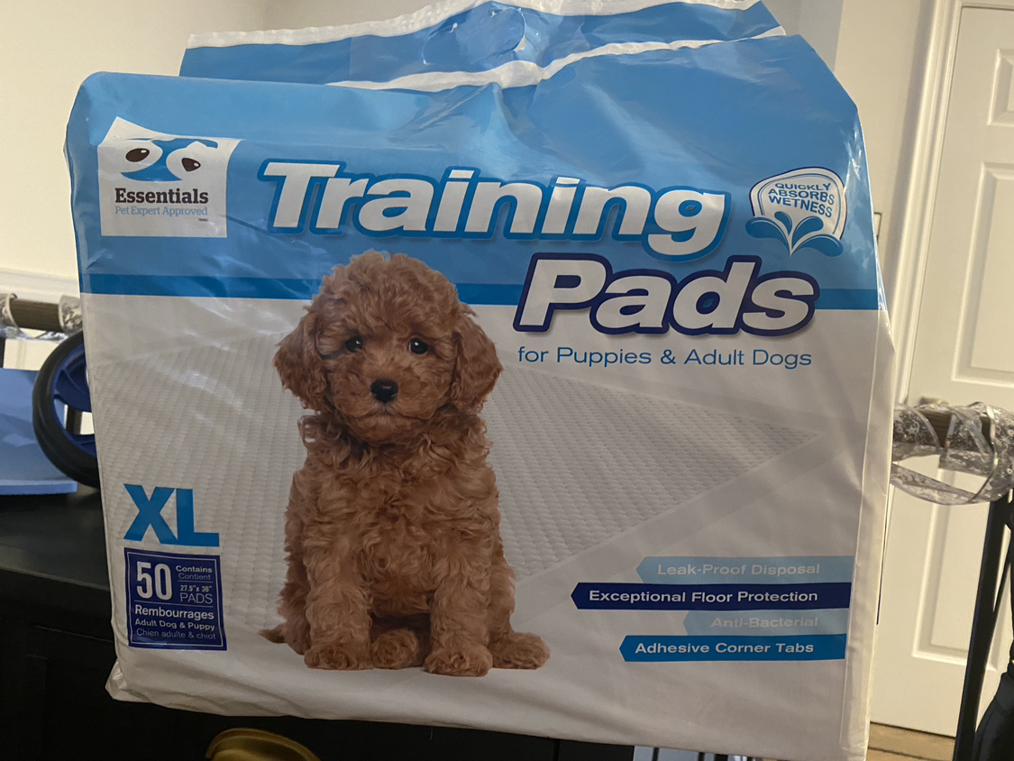Pee pad