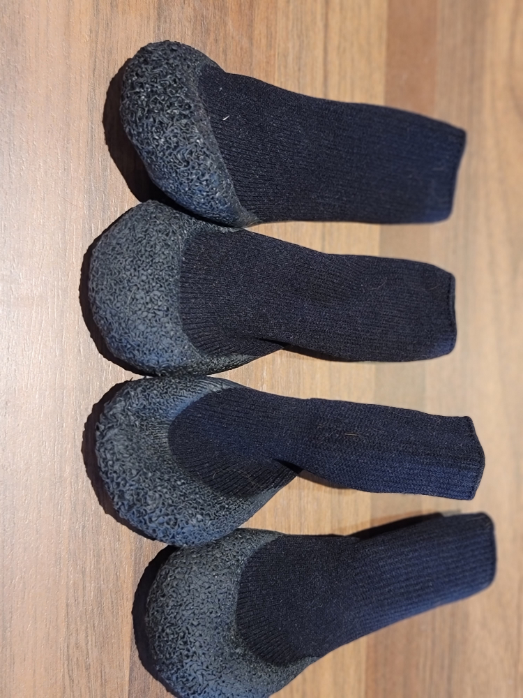 Dog booties thumbnail