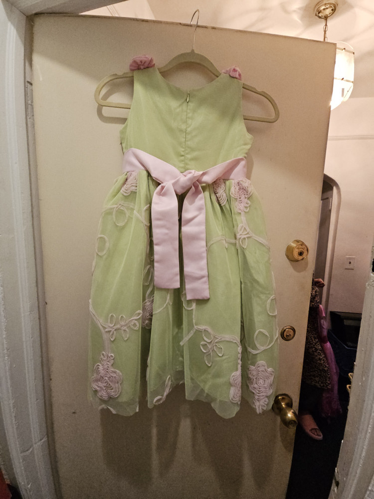 Little Girls Pink/Green Dress Size 8 image indicator(2)