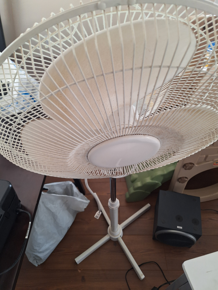 fan