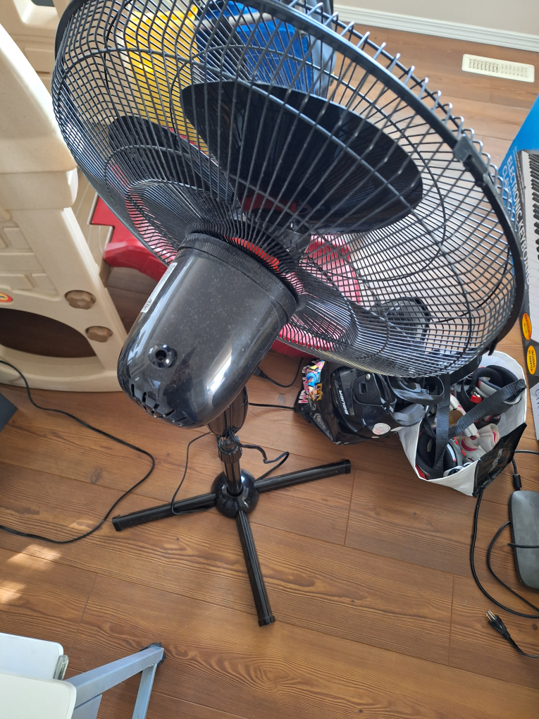 fan - photo 2