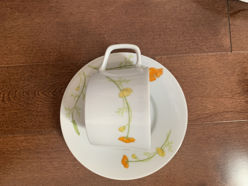 🥕Full Set: Jardin Genevieve fine china image indicator(6)