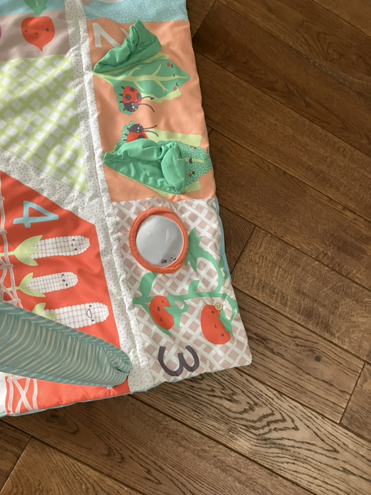 Skip Hop play mat - photo 5