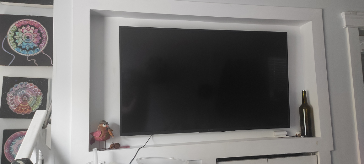 Smart tv Sony Bravia X80H 49"