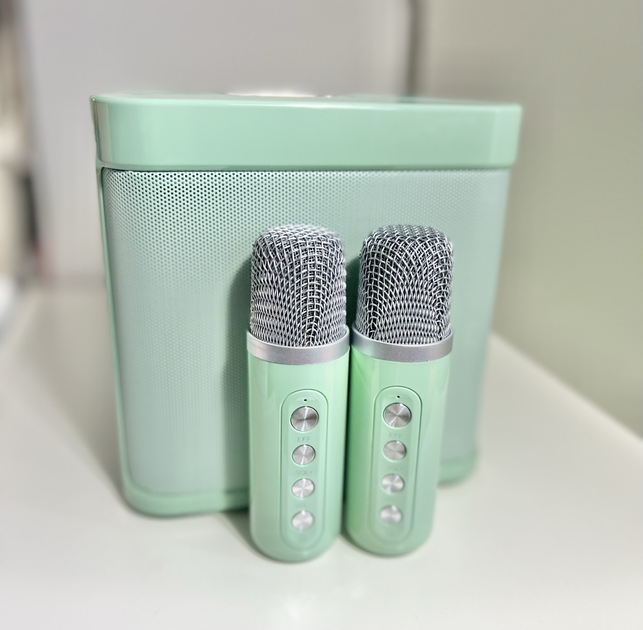 Bluetooth Karaoke Speaker with 2 mics image indicator(3)