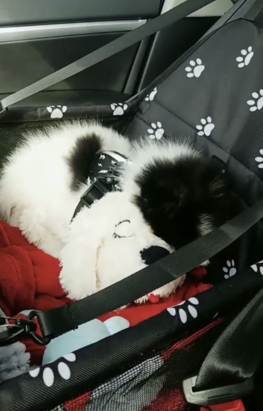 Dog car seat - photo 3