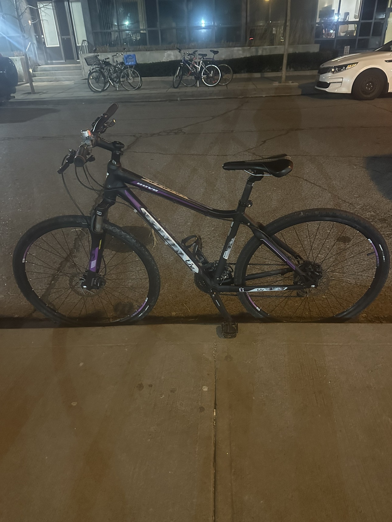 Giant Rove 2- Hybrid Sports Bike