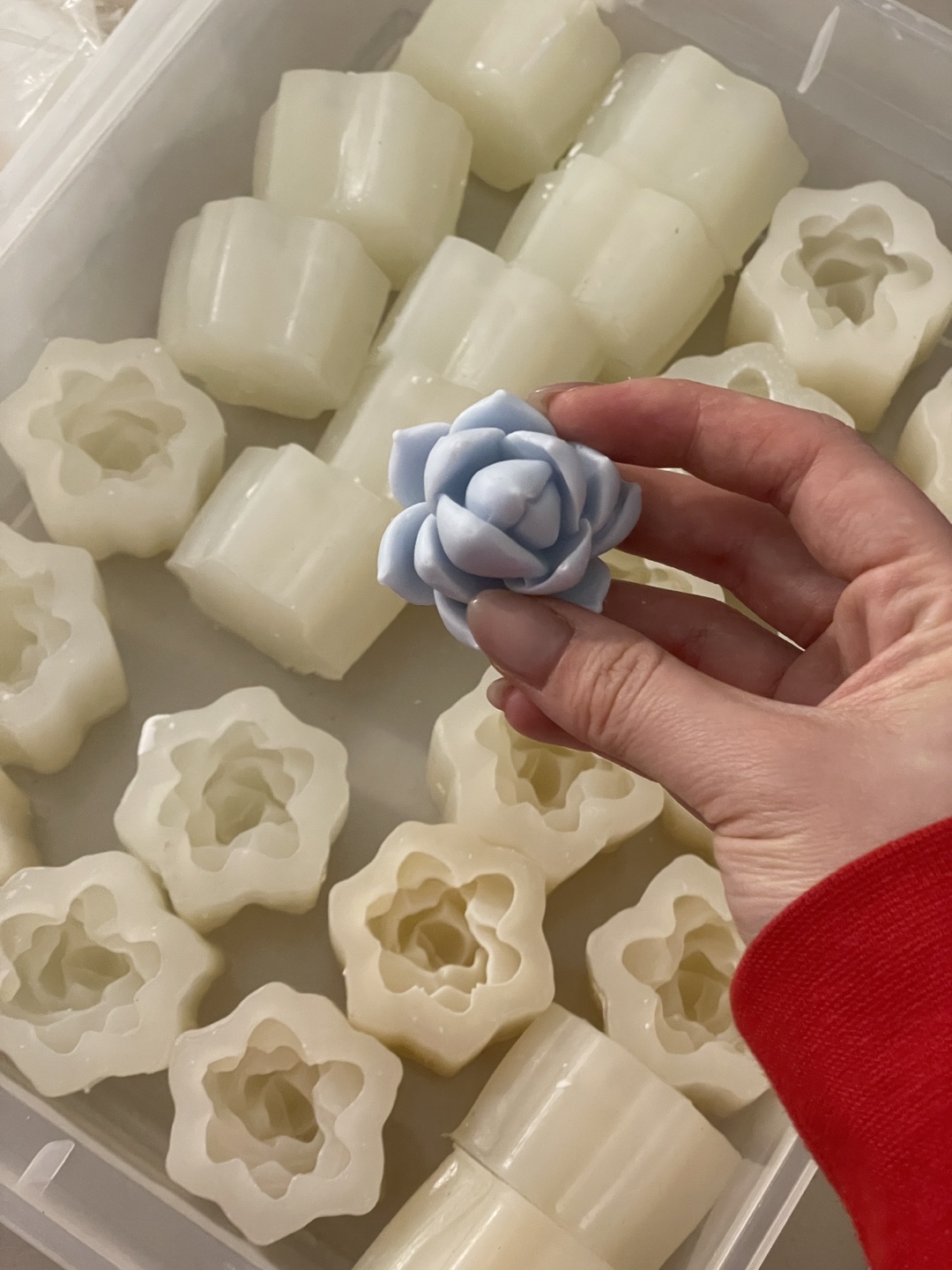Flower, succulent, plant silicone mold