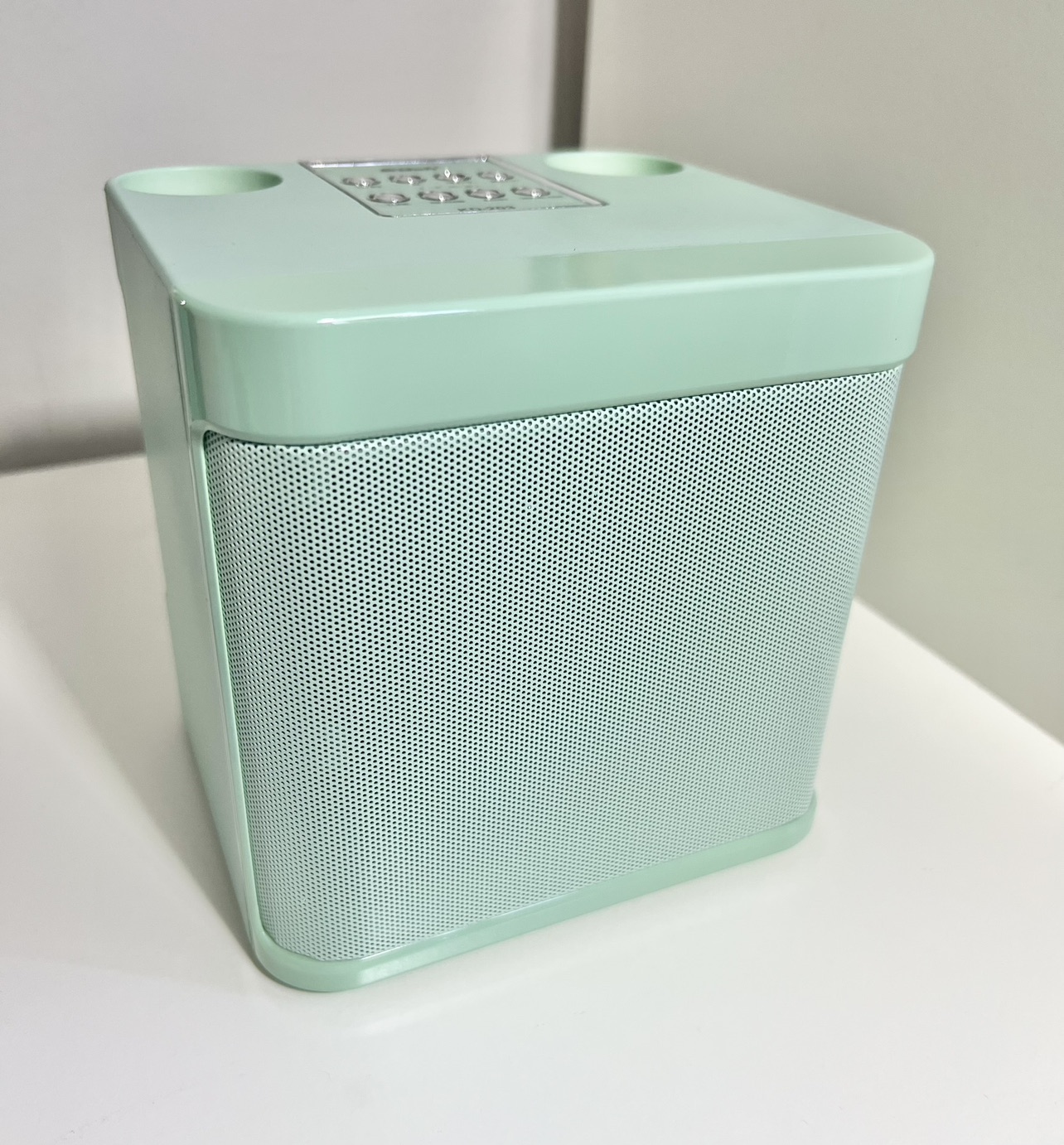 Bluetooth Karaoke Speaker with 2 mics image indicator(4)