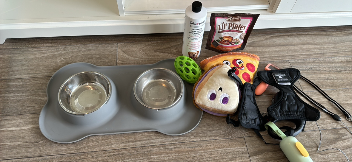 Small dog or puppy stuff all together thumbnail