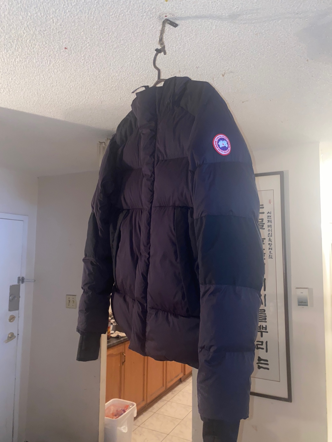 Canada Goose Mens Black Jacket