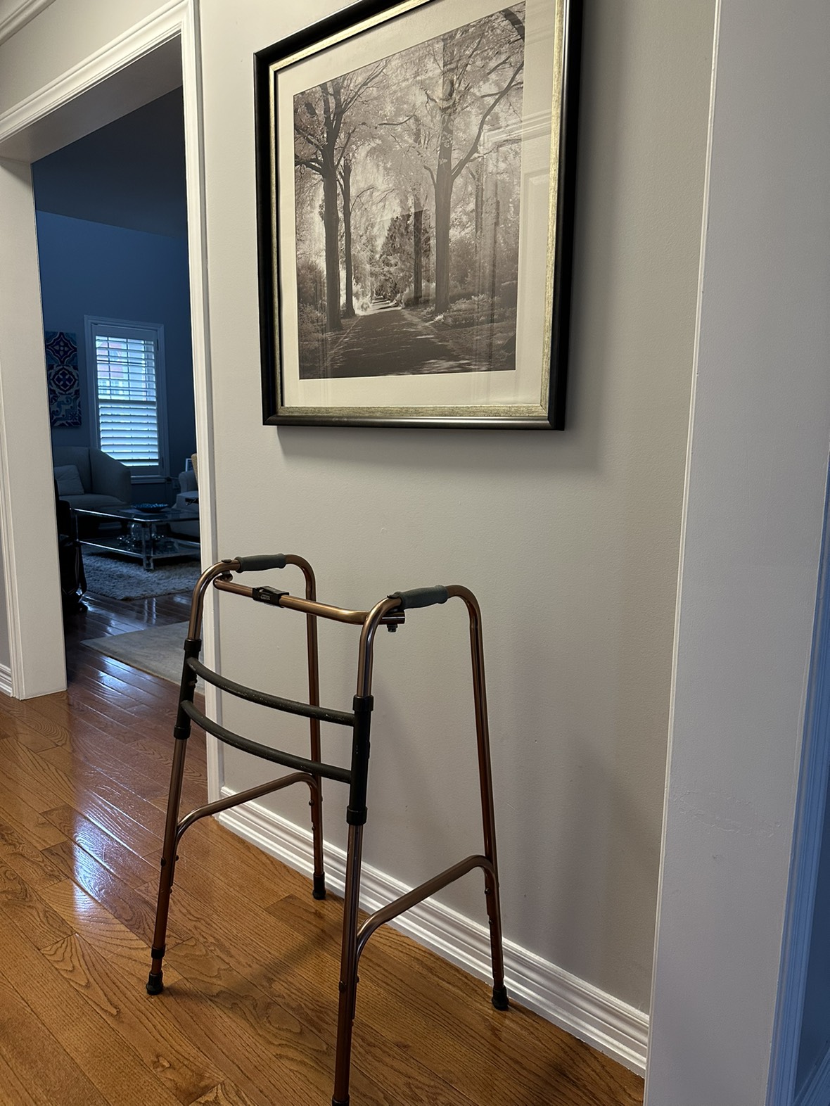 Walker for Seniors image indicator(4)